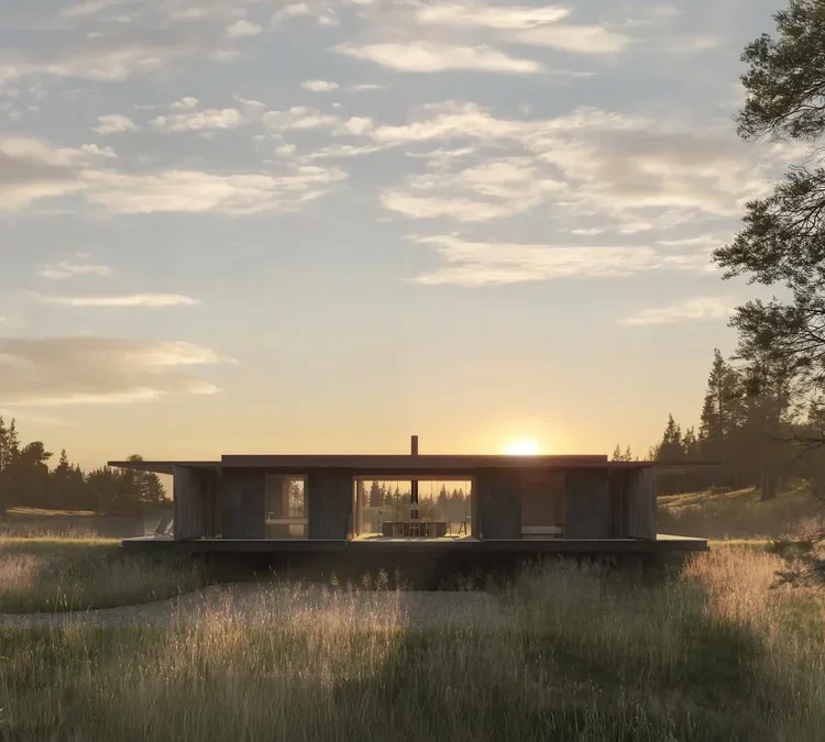 Planning Granted for Black Swan House